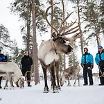 Wilderness & Igloos Ξενοδοχείο 4*
