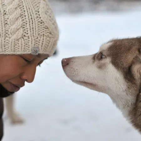 Wilderness & Igloos Nellimö