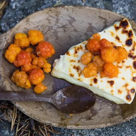 Wilderness & Igloos Szálloda