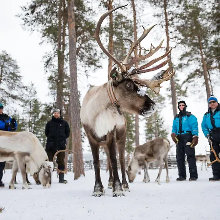 Wilderness & Igloos Szálloda 4*