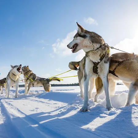 Wilderness & Igloos Hotell 4*