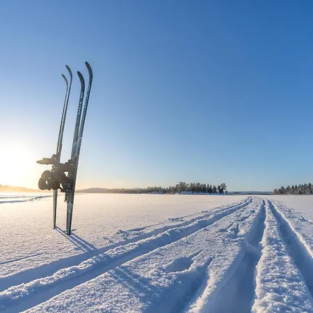 Отель Wilderness & Igloos Неллимо