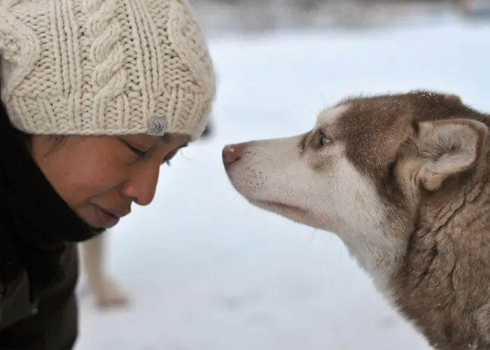 Wilderness & Igloos Nellim