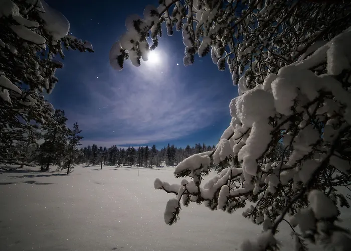 Wilderness & Igloos Nellim