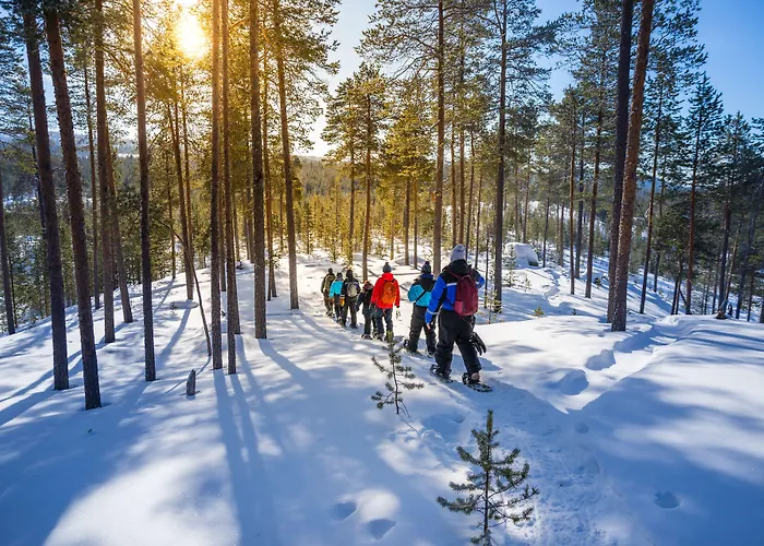 Hotel Wilderness & Igloos Nellim