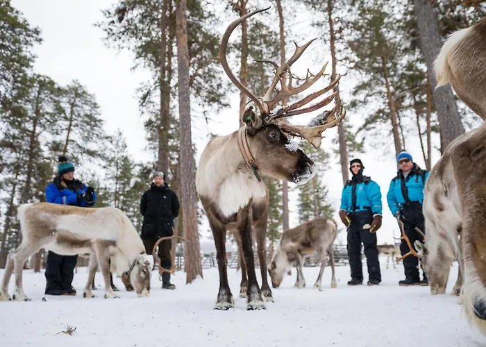 Wilderness & Igloos Hotel 4*