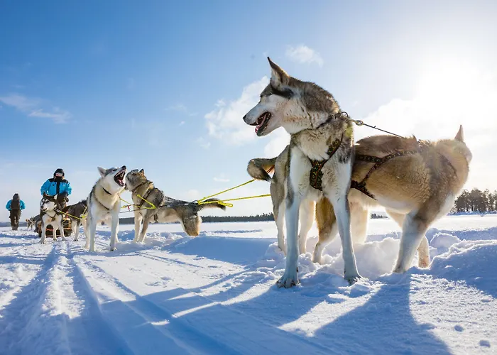 Wilderness & Igloos Hotel 4*