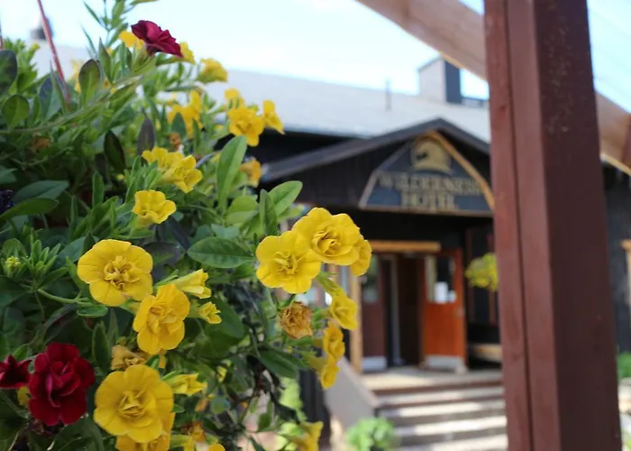 Wilderness & Igloos ホテル 4*